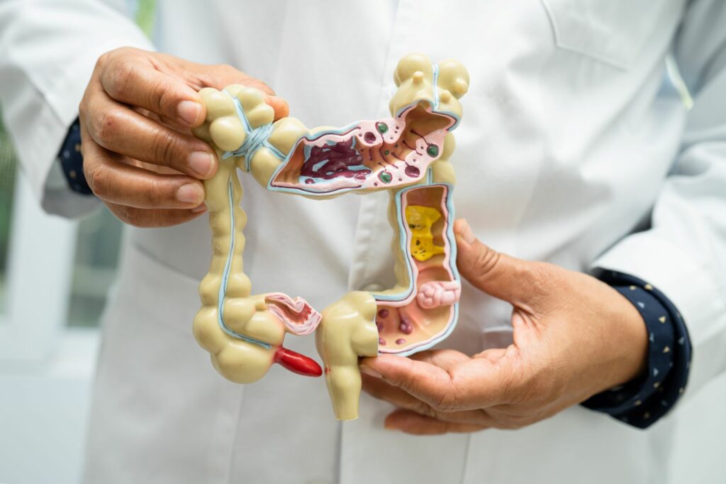 chirurgie-digestive-viscerale-obesite-parois-proctologie-perpignan-66-specialiste-medecine-intervention-chirurgien-dr-locicero-andrea
