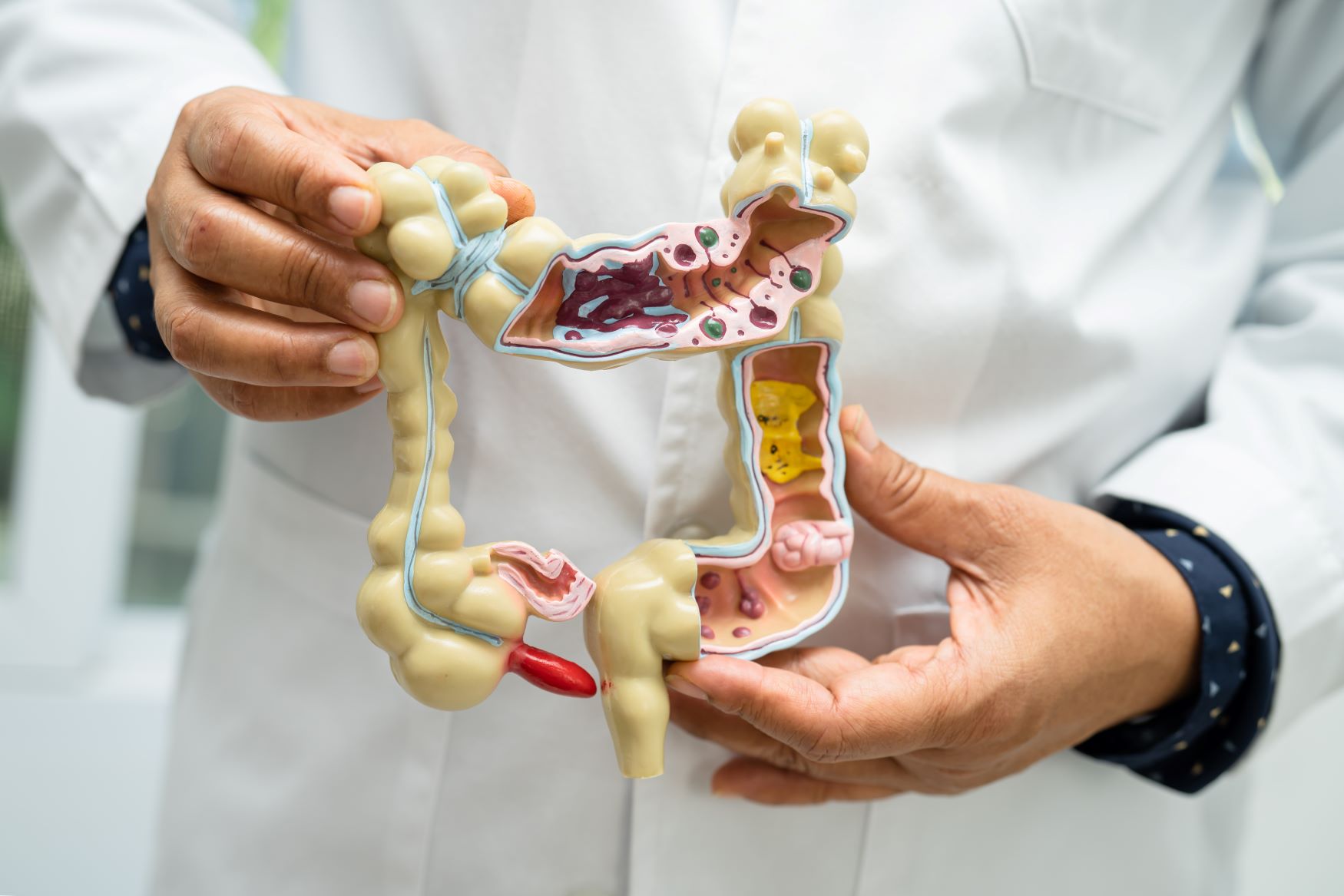 chirurgie-digestive-viscerale-obesite-parois-proctologie-perpignan-66-specialiste-medecine-intervention-chirurgien-dr-locicero-andrea